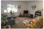 Bright living room with a floral-patterned sofa, upholstered chair, TV on a stand, bookshelf, and potted plants by a large window.