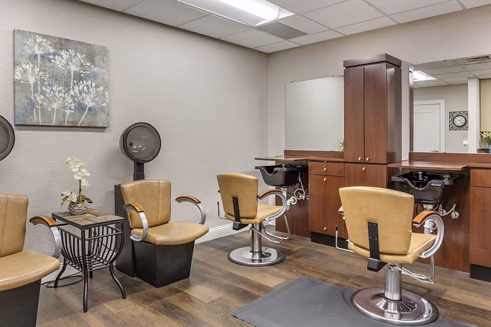 Interior of a salon area with three tan salon chairs, two black hair washing stations, a wooden cabinet with a large mirror, a small table with a white orchid plant, and a wall painting of white flowers on a gray background.