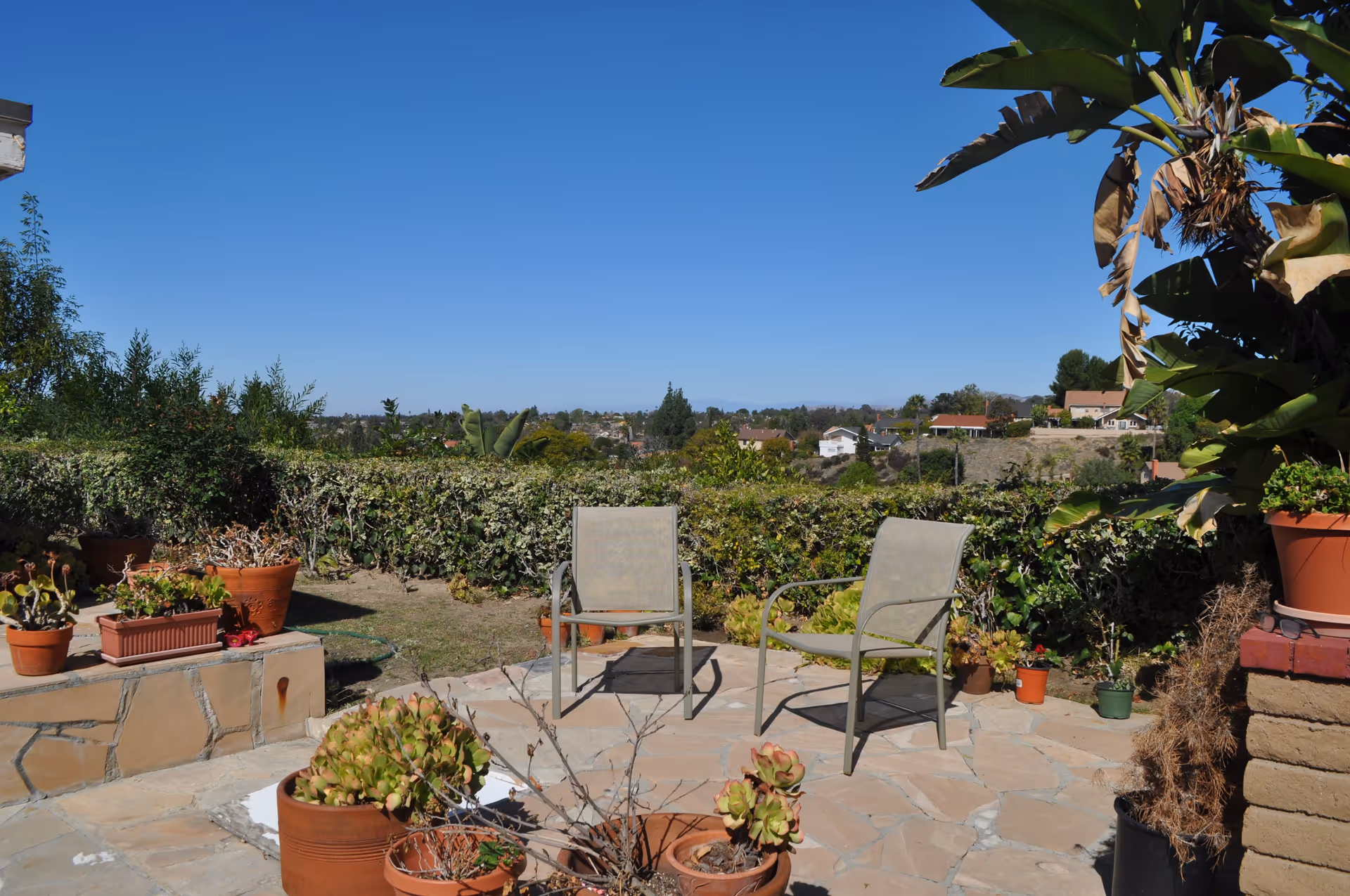 Outdoor patio area with two metal chairs on a stone floor surrounded by various potted plants and greenery, overlooking a suburban neighborhood under a clear blue sky.