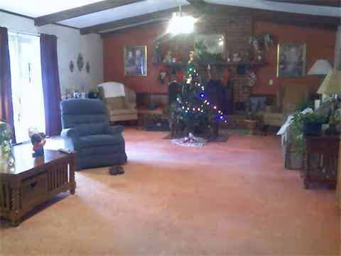 Cozy living room with Christmas tree, sofas, and warm lighting.
