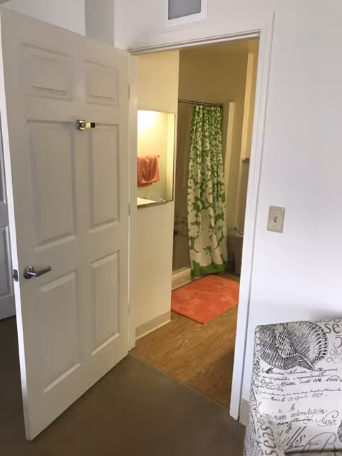 Open interior door showing a bathroom with a green floral shower curtain, pink bath mat, and a sink area visible from a carpeted room.