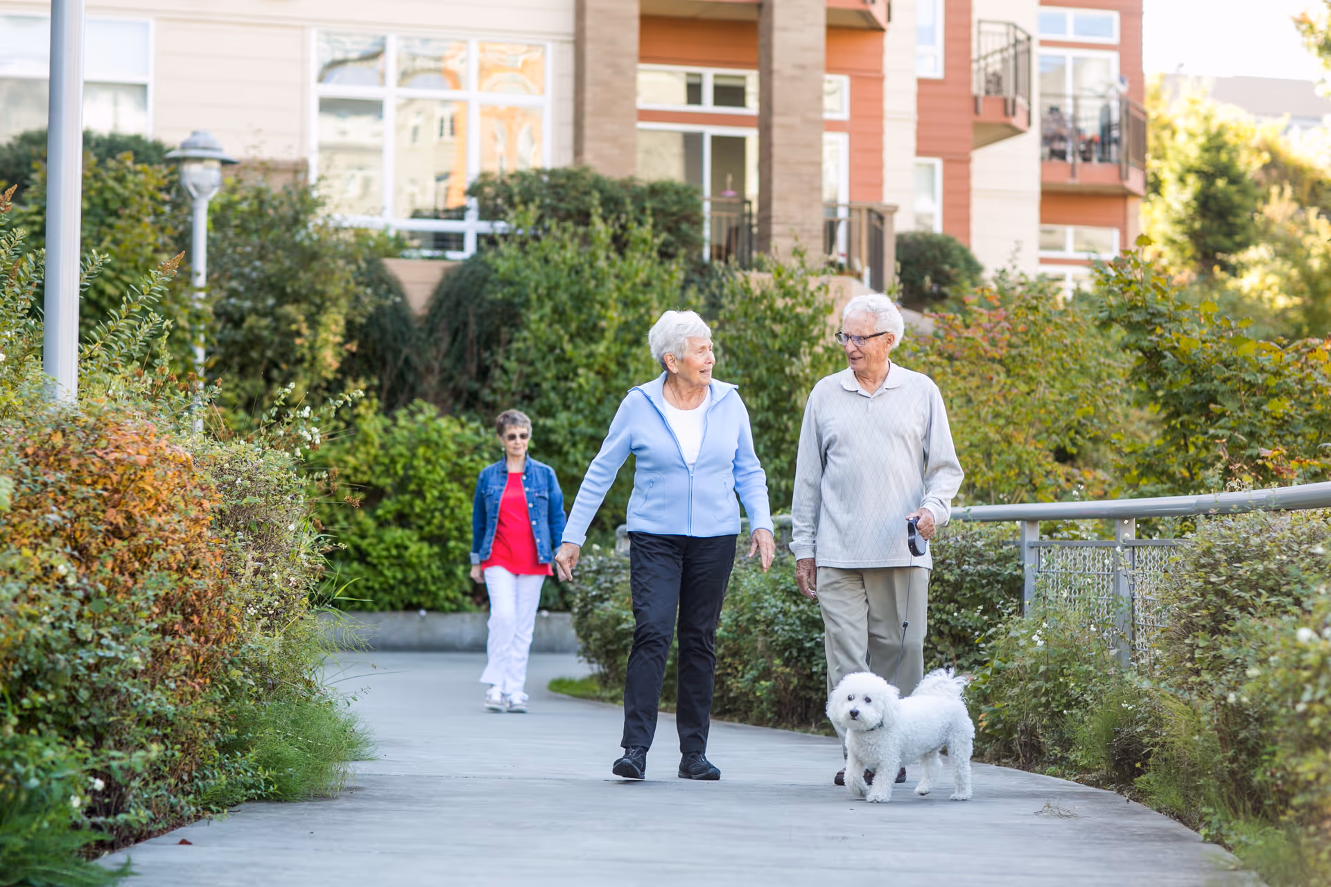 An elderly couple walking a small white dog along a landscaped path outside a residential building.