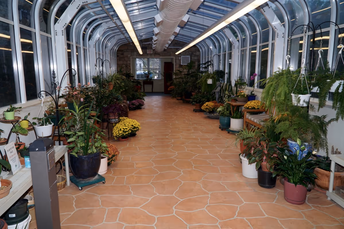 Indoor sunroom or greenhouse area with large windows and a glass ceiling, filled with various potted plants and flowers arranged along both sides of a tiled floor walkway.
