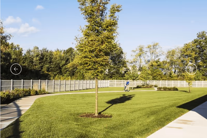 Fenced green lawn with a young tree, paved walking paths, and a person in the distance under a clear sky.