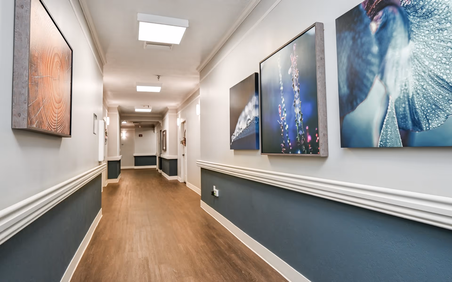 A well-lit hallway with wooden flooring and walls painted white on the upper half and blue on the lower half, decorated with framed nature-themed artwork. The hallway has ceiling lights and wall sconces, with several doors along the sides.
