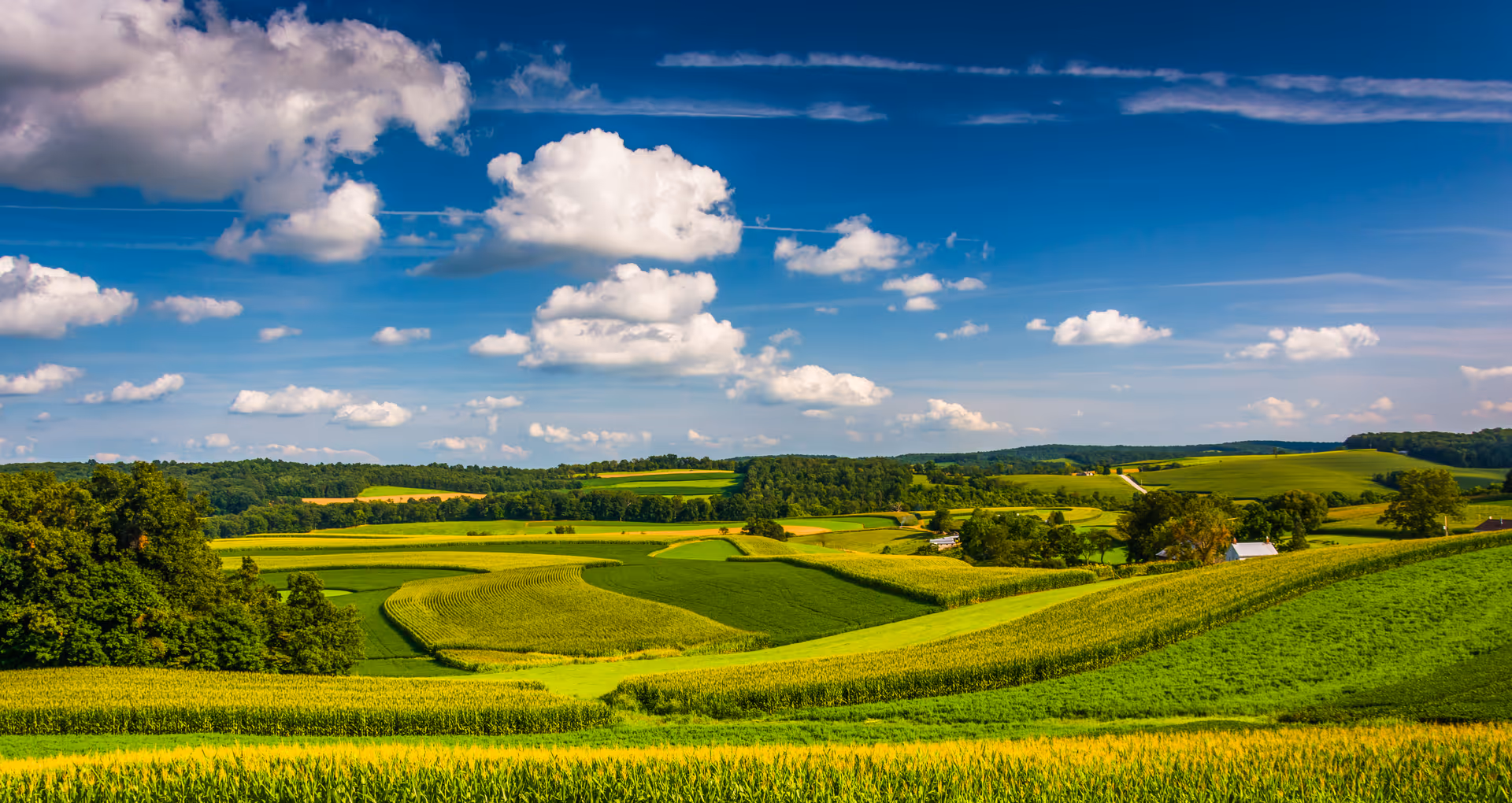 A scenic view of rolling green fields and farmland under a blue sky with scattered white clouds.