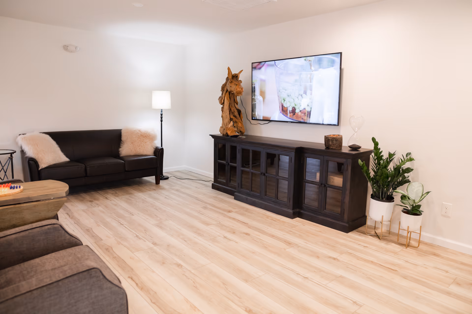 Cozy living room with sofa, TV, console cabinet, wood flooring, and potted plants.