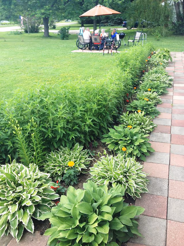 A garden area with lush green plants and flowers bordering a paved walkway. In the background, a group of elderly people are seated around a table with an orange umbrella, enjoying the outdoor space.