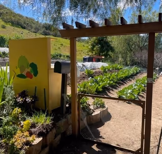 A gated outdoor community garden with raised vegetable beds, a trellis archway, a mailbox and a painted utility box against a hillside under a blue sky.