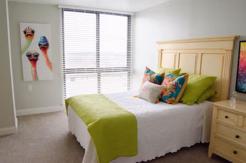 A bright bedroom with a large window covered by blinds, a bed with a wooden headboard, white bedding, green throw blanket, and colorful pillows. There is a wooden nightstand with drawers next to the bed and a colorful painting on the wall. Another artwork featuring three ostriches wearing sunglasses and a hat is hung on the adjacent wall.