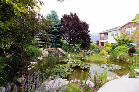 A landscaped outdoor pond with lily pads, flowering plants, trees, and an apartment-style building in the background.