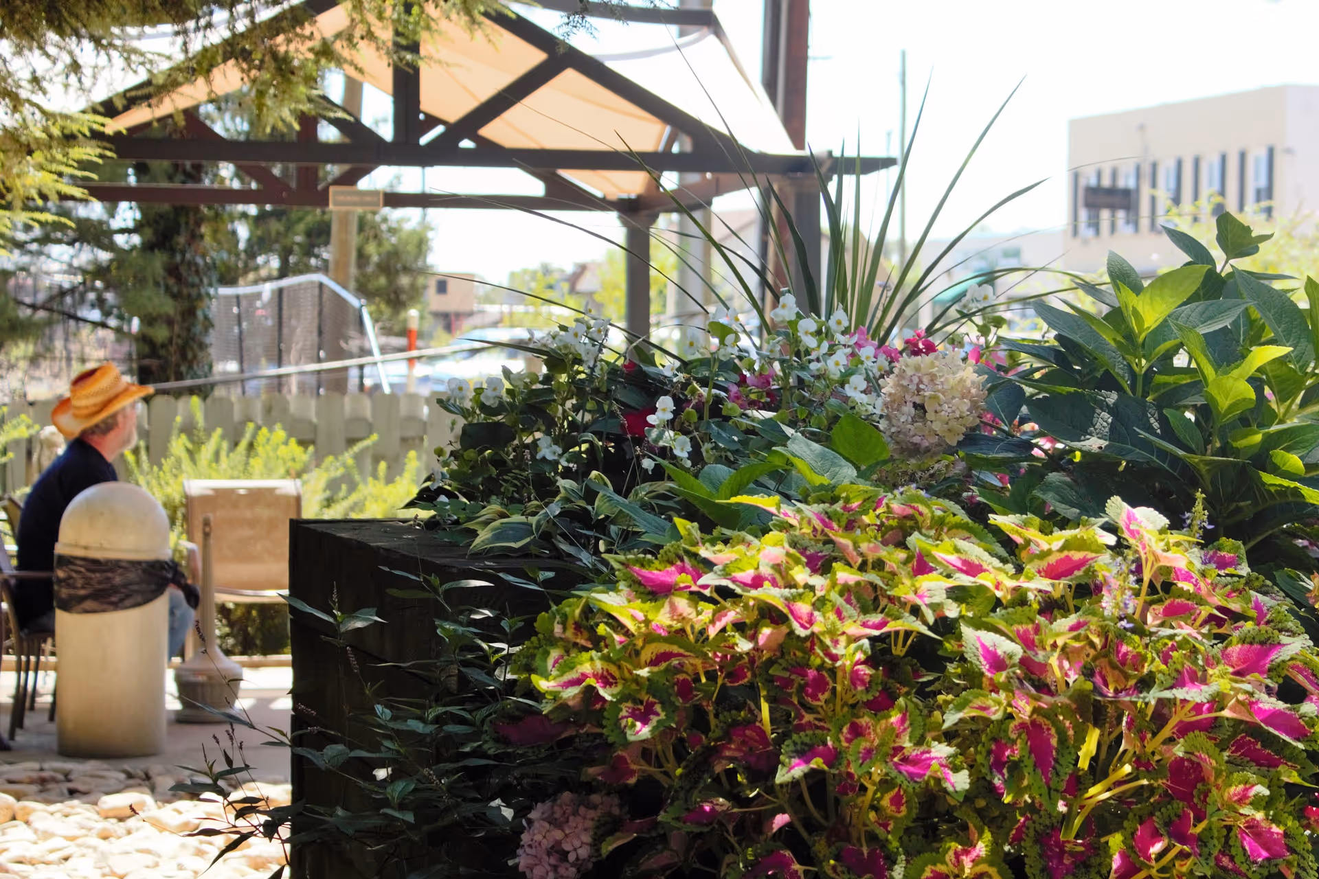 A shaded outdoor seating area with a person wearing a straw hat sitting on a chair near a variety of colorful plants and flowers in the foreground. The background includes a wooden fence, trees, and a building under a clear sky.