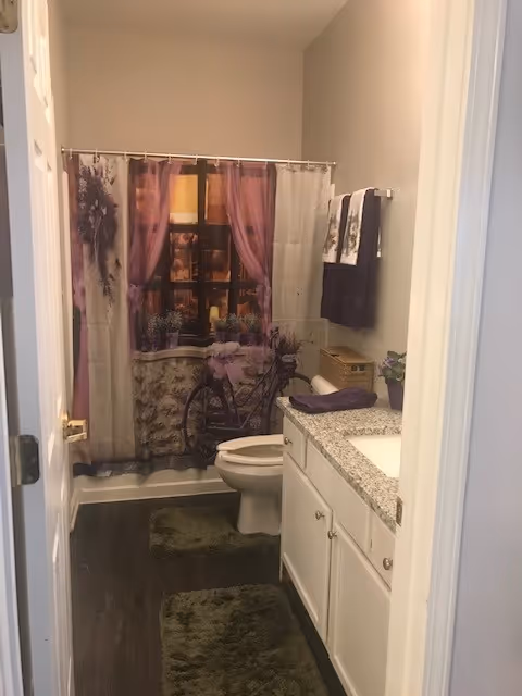 A small bathroom with a white toilet, white vanity with granite countertop, and a sink. The shower curtain features a decorative image of a window with purple curtains and a bicycle outside. There are two green bath mats on the dark wood floor, and purple towels hanging on the wall above a wicker basket.