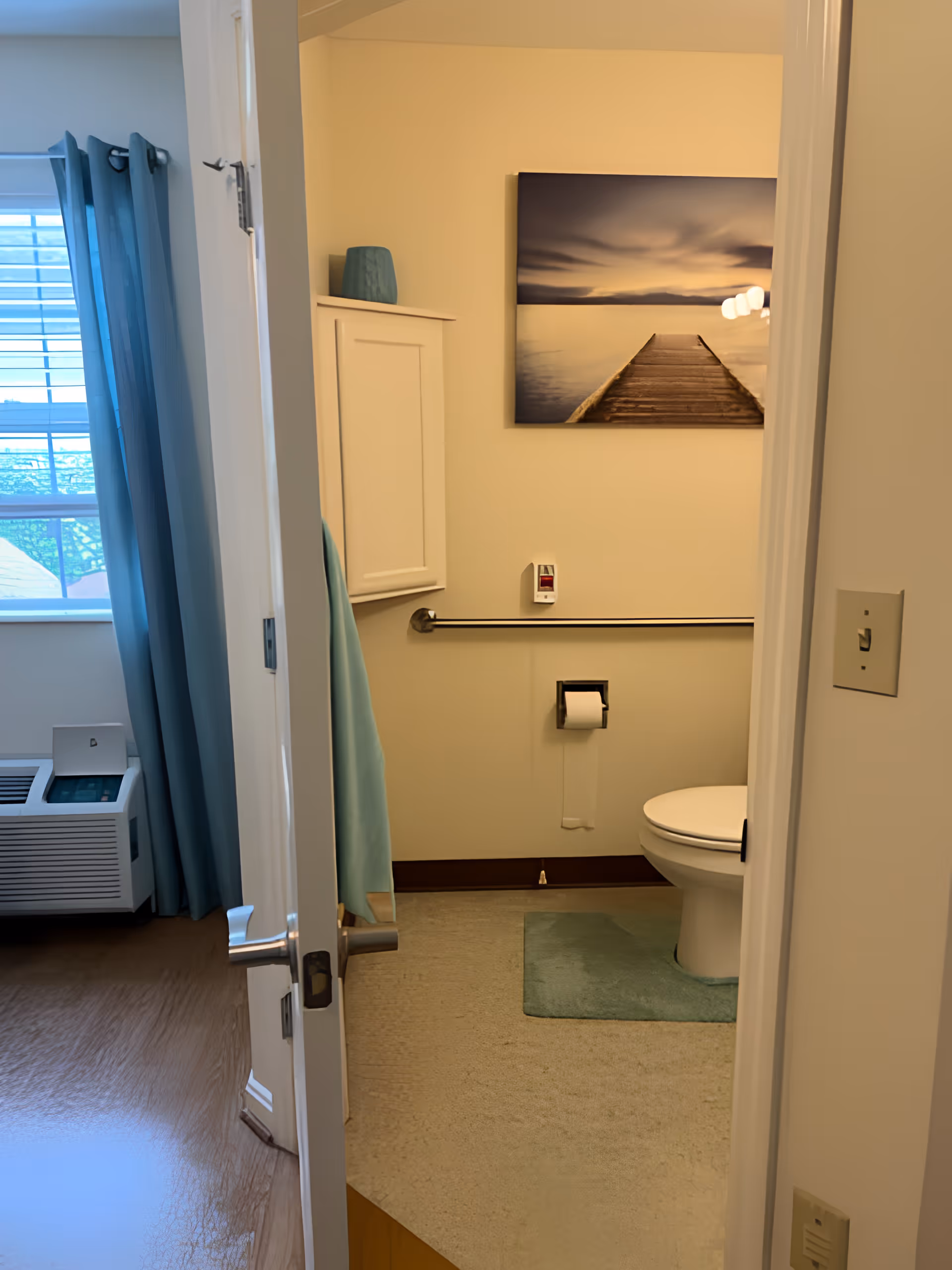 View through an open door into a bathroom with a toilet, toilet paper holder, grab bar, and a green bath mat. Above the grab bar is a wall-mounted emergency pull cord. A framed picture of a wooden pier extending into a calm body of water hangs on the wall. To the left, a window with blue curtains and a white air conditioning unit is visible.