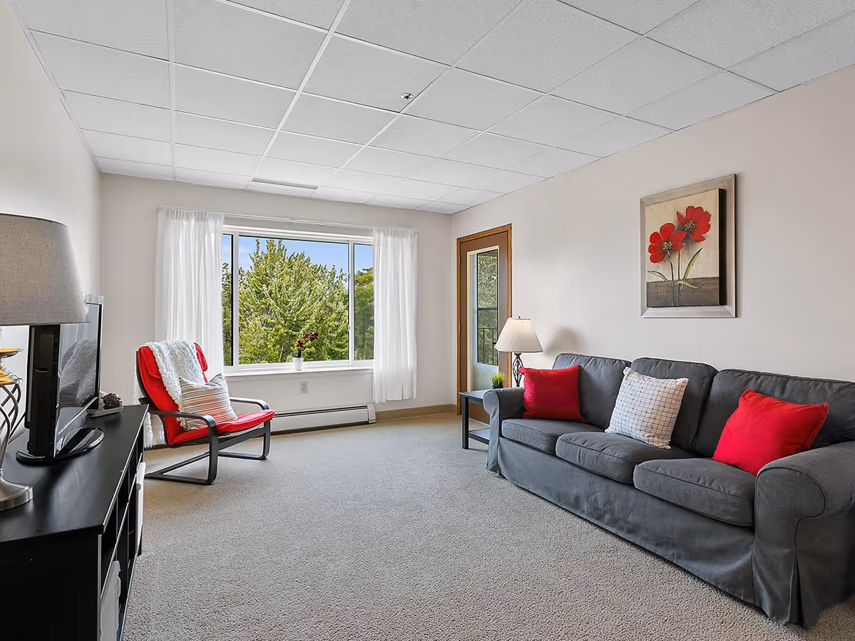 A bright living room with a large window showing green trees outside. The room has a gray sofa with red and white pillows, a side table with a lamp, a red armchair with a white throw, a black TV stand with a TV and a lamp, and a framed picture of red flowers on the wall.