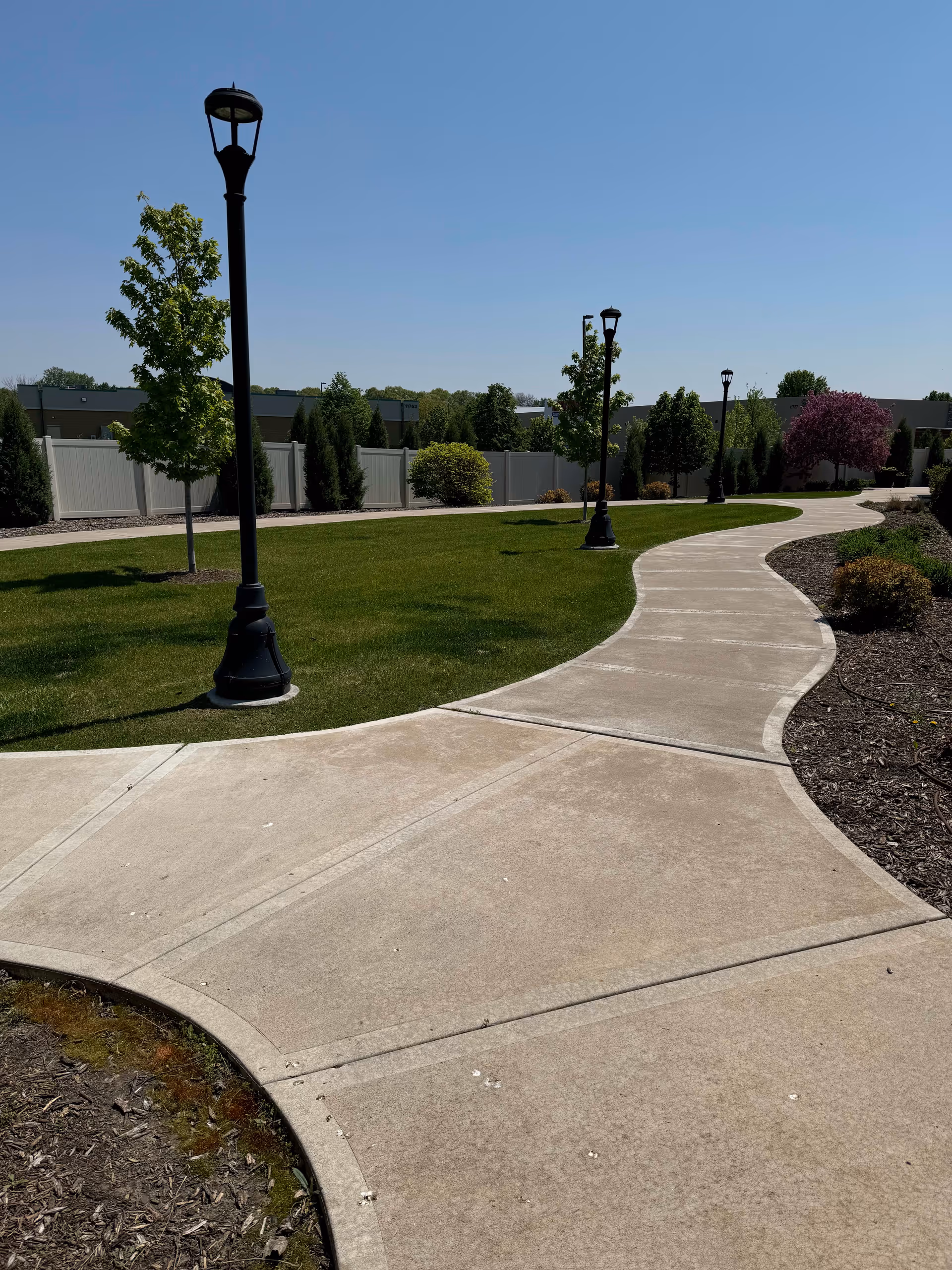 A winding concrete pathway lined with black lamp posts and young trees on a sunny day. The path is bordered by green grass on one side and mulch with shrubs on the other. A white fence and some buildings are visible in the background under a clear blue sky.