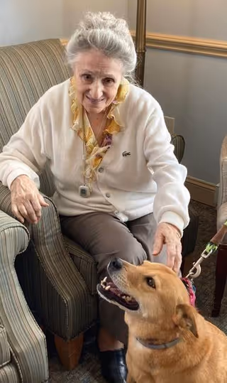 An elderly woman sitting on a striped armchair indoors, smiling and looking down at a golden-colored dog that is looking up at her. The woman is wearing a white cardigan and brown pants, and the dog is on a leash held by someone out of frame.
