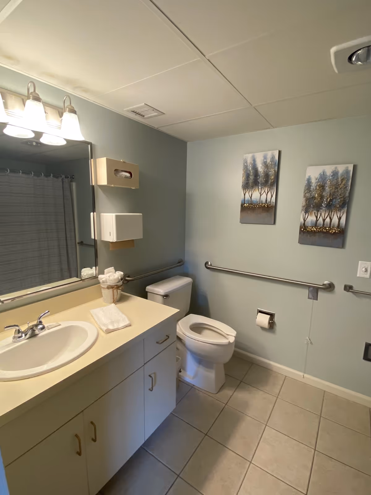 A clean and accessible bathroom with a white sink and countertop, a large mirror with three light fixtures above it, a toilet with grab bars on the walls for support, a toilet paper holder, and two decorative paintings of trees on the wall. The floor is tiled and there is a shower curtain visible in the mirror reflection.