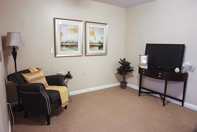 A cozy living room corner with a dark armchair draped with a yellow throw blanket and a striped pillow, a floor lamp beside it, two framed landscape paintings on the wall, a small side table with a telephone, a potted plant, and a dark wooden TV stand holding a flat-screen television and decorative items.