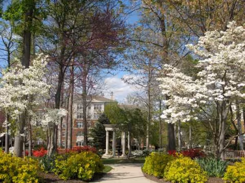 Exterior view of a brick building surrounded by blooming trees and a manicured garden path.