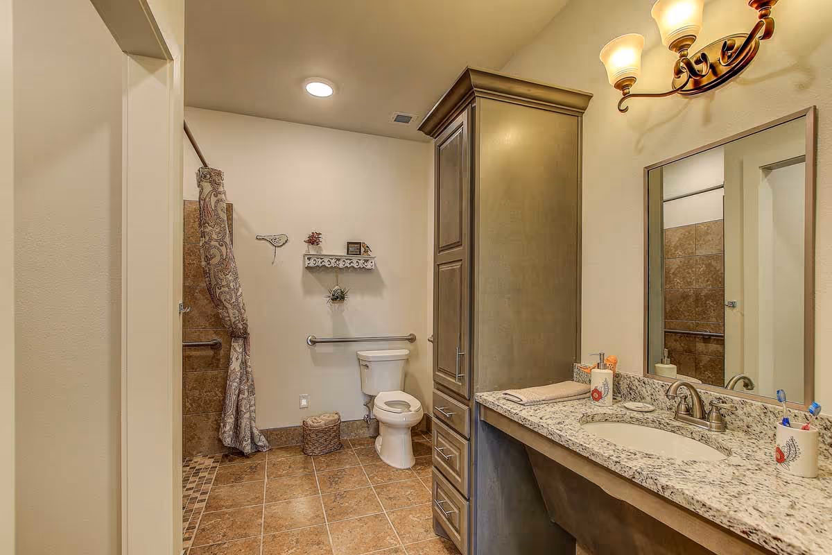 Accessible-style bathroom with a granite vanity and sink, tall storage cabinet, toilet, and a shower with a patterned curtain.