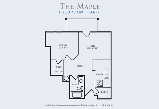 Floor plan of The Maple, a 1 bedroom, 1 bath apartment with labeled areas for bedroom, living room, dining, kitchen, bathroom, and closets, including dimensions for bedroom and living room.