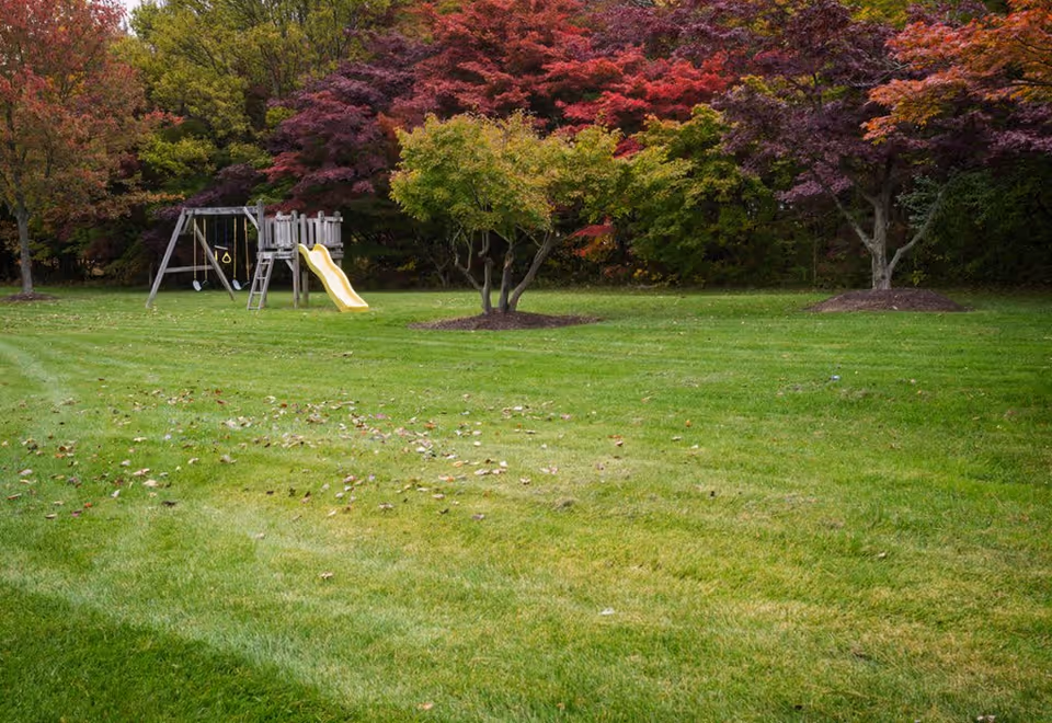 A grassy outdoor area with a children's playset featuring a yellow slide and swings. The background includes trees with green, red, and purple foliage, indicating an autumn setting.