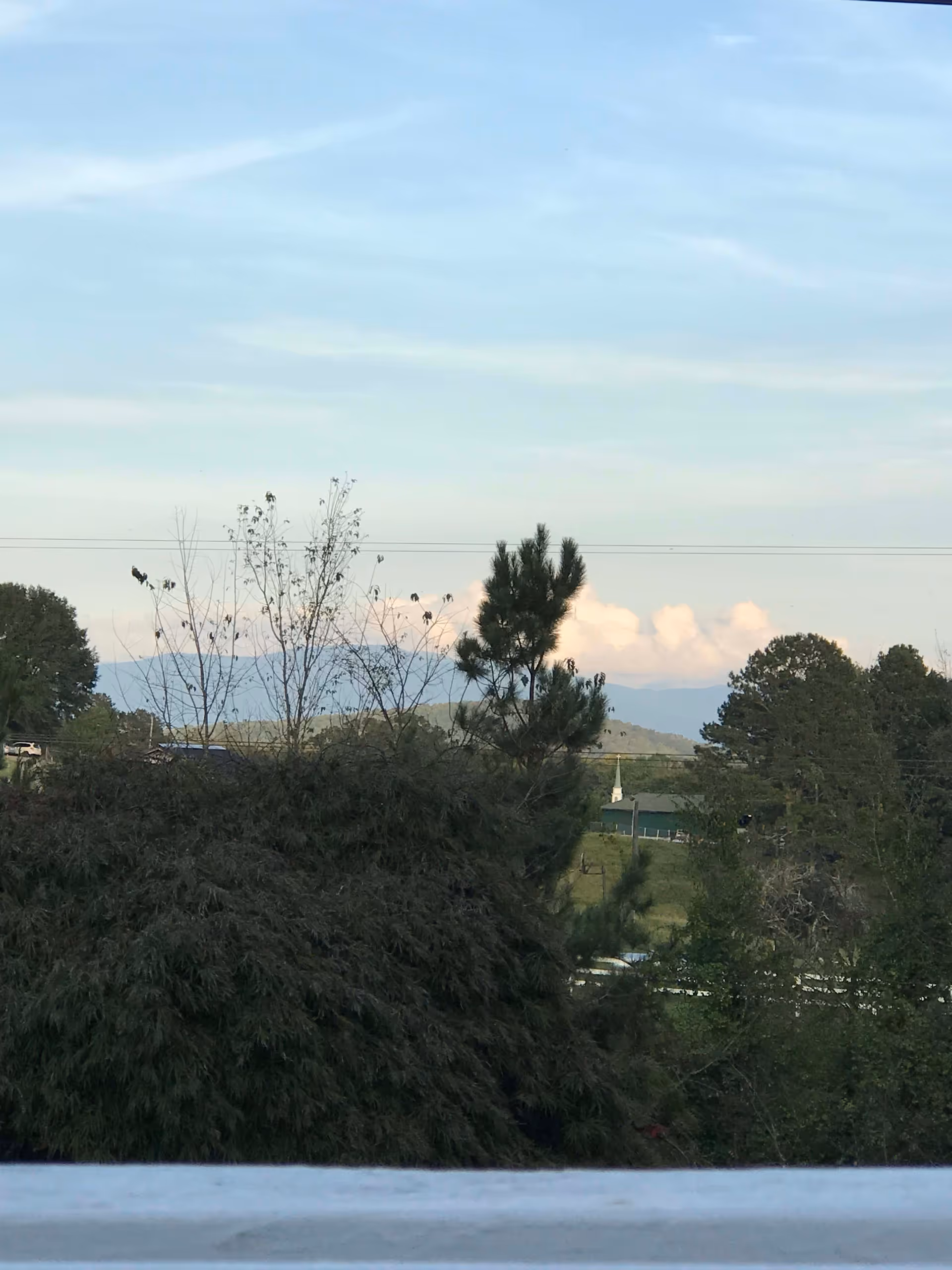 View of a natural landscape with various trees and bushes in the foreground, a distant mountain range under a partly cloudy sky, and a small building with a white steeple visible among the trees.