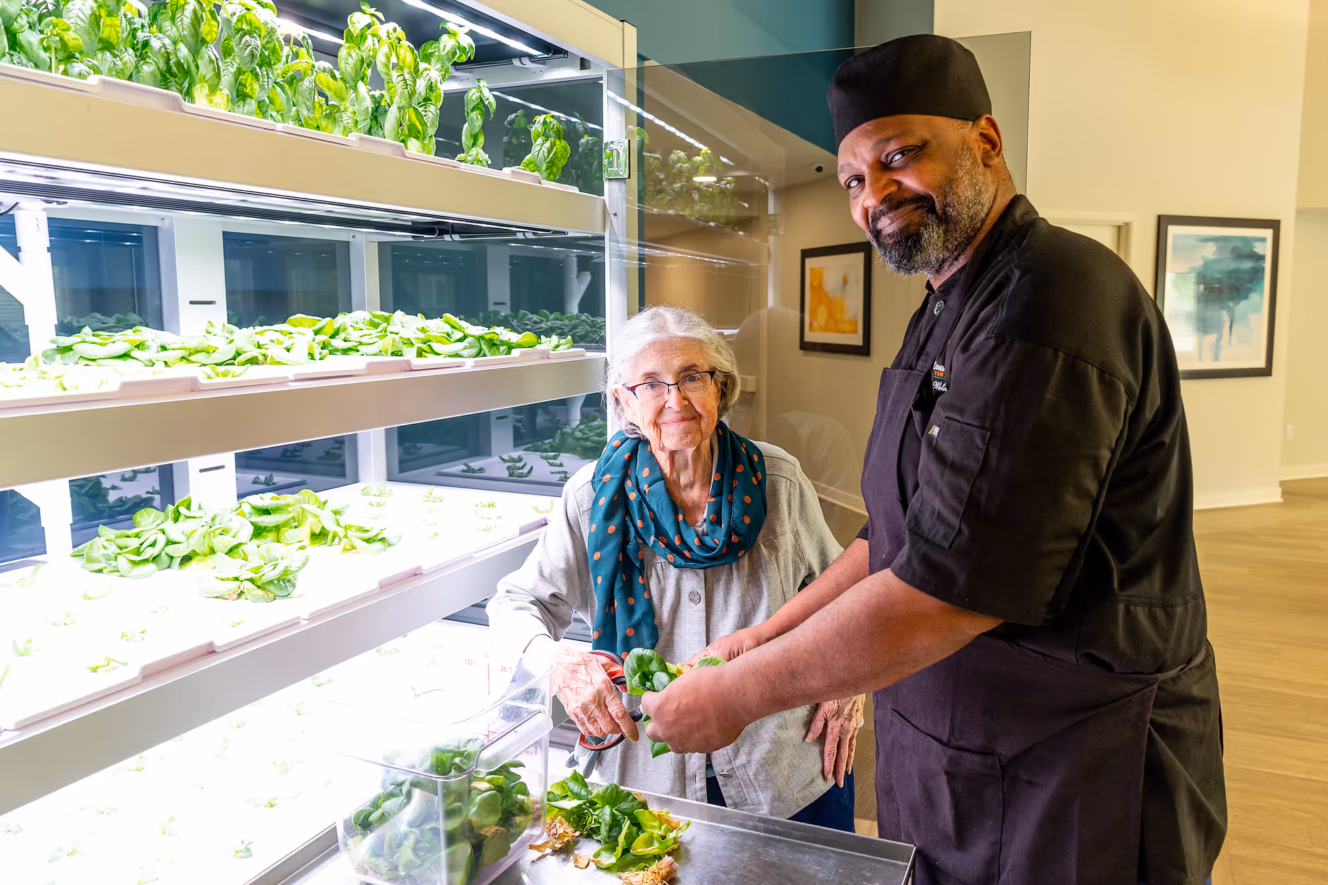 An elderly woman and a chef standing next to a vertical indoor garden with leafy green plants. The woman is holding scissors and the chef is holding some freshly picked greens. They are smiling and appear to be in a bright, modern indoor space with framed artwork on the walls.