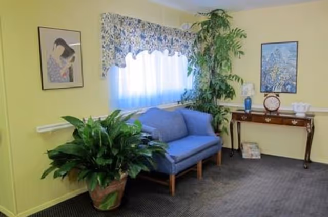 Small seating area with a blue loveseat, potted plants, a wooden console table with decorations, and framed art on yellow walls.