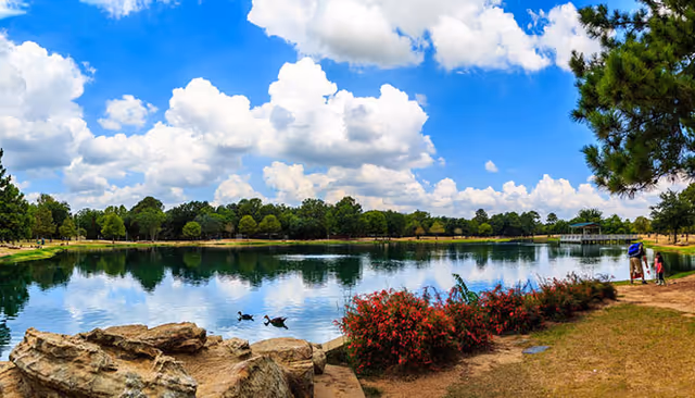A scenic outdoor view of a calm lake surrounded by trees under a blue sky with fluffy white clouds. In the foreground, there are rocks, red flowering bushes, and a grassy path where two people are walking near the water's edge. Two ducks are swimming on the lake.