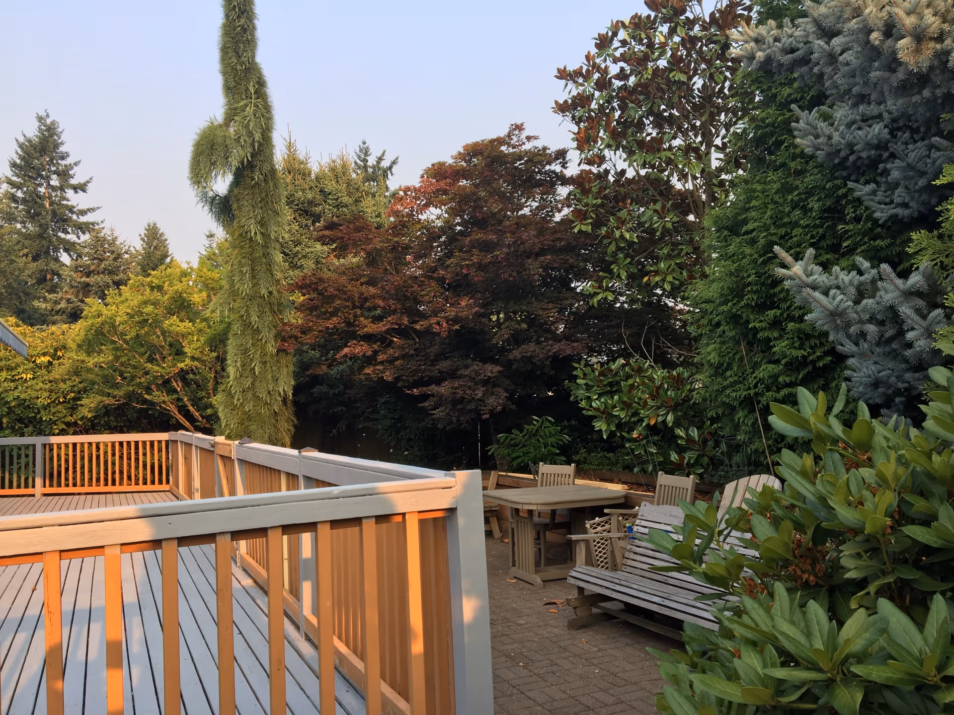 Outdoor patio area with wooden railings and deck, surrounded by dense green trees and shrubs. There are wooden benches and tables with chairs on a paved surface, creating a peaceful garden setting.