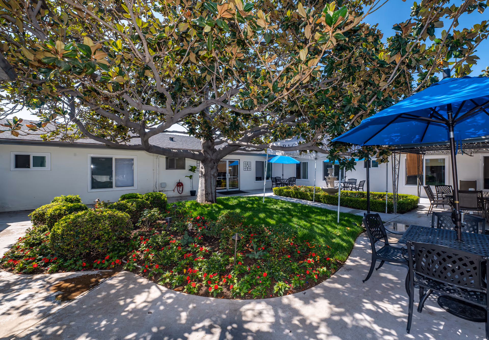 Outdoor courtyard area with a large tree in the center surrounded by green grass and flower beds with red flowers. There are several black metal tables and chairs with blue umbrellas providing shade. The courtyard is enclosed by a single-story white building with windows and doors.