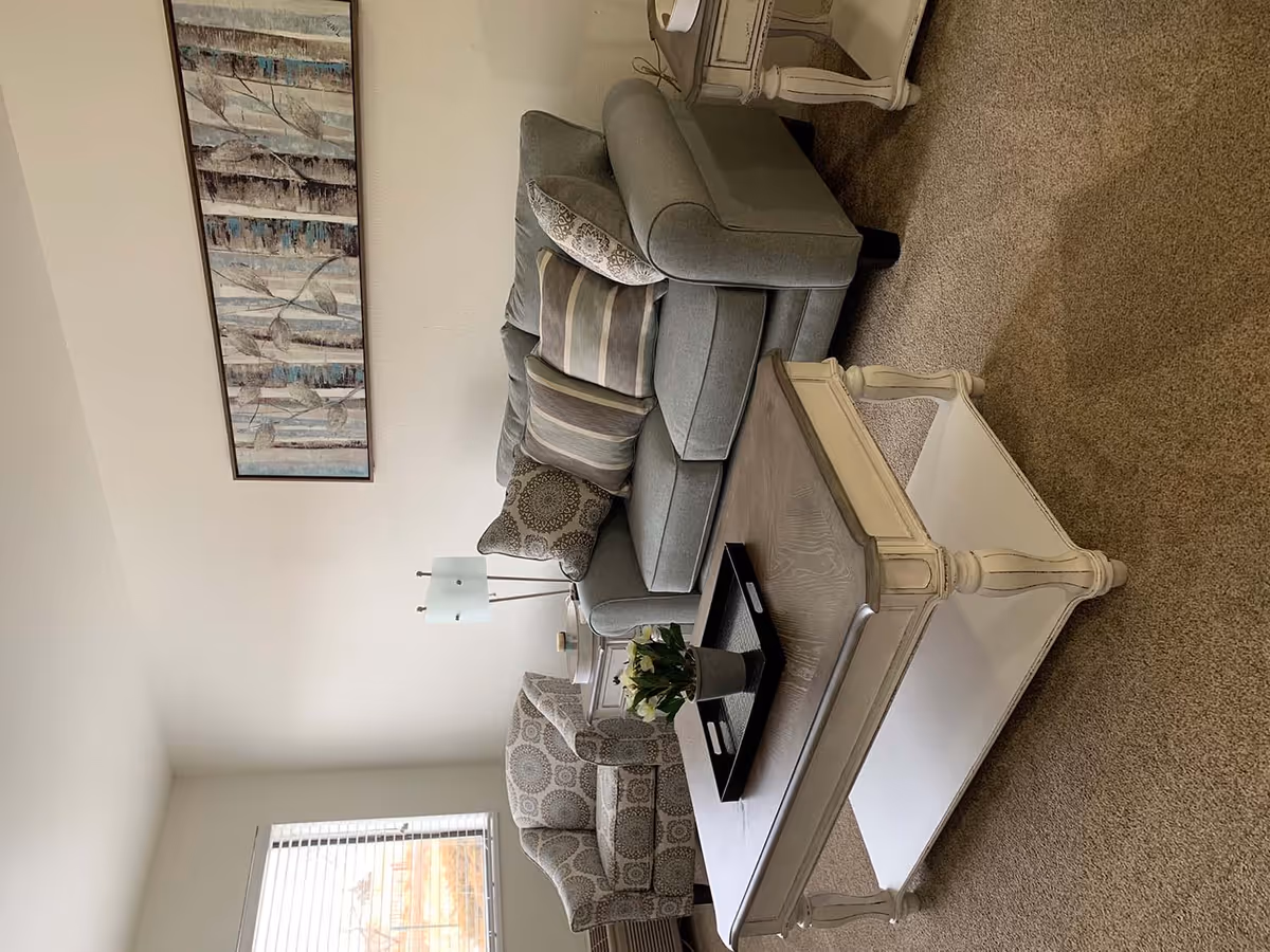 A cozy living room with a gray sofa adorned with patterned and striped pillows, a matching armchair with a circular pattern, a white wooden coffee table with a dark tray and a small potted plant on top, a side table with a modern lamp, beige carpet flooring, and a large framed artwork of birch trees on the wall.