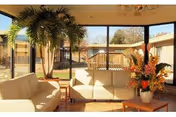 A bright indoor seating area with large windows showing an outdoor courtyard. The room contains white cushioned sofas, a wooden coffee table with a floral arrangement, and a tall potted palm tree. The outdoor view includes a wooden fence and some trees under a clear sky.