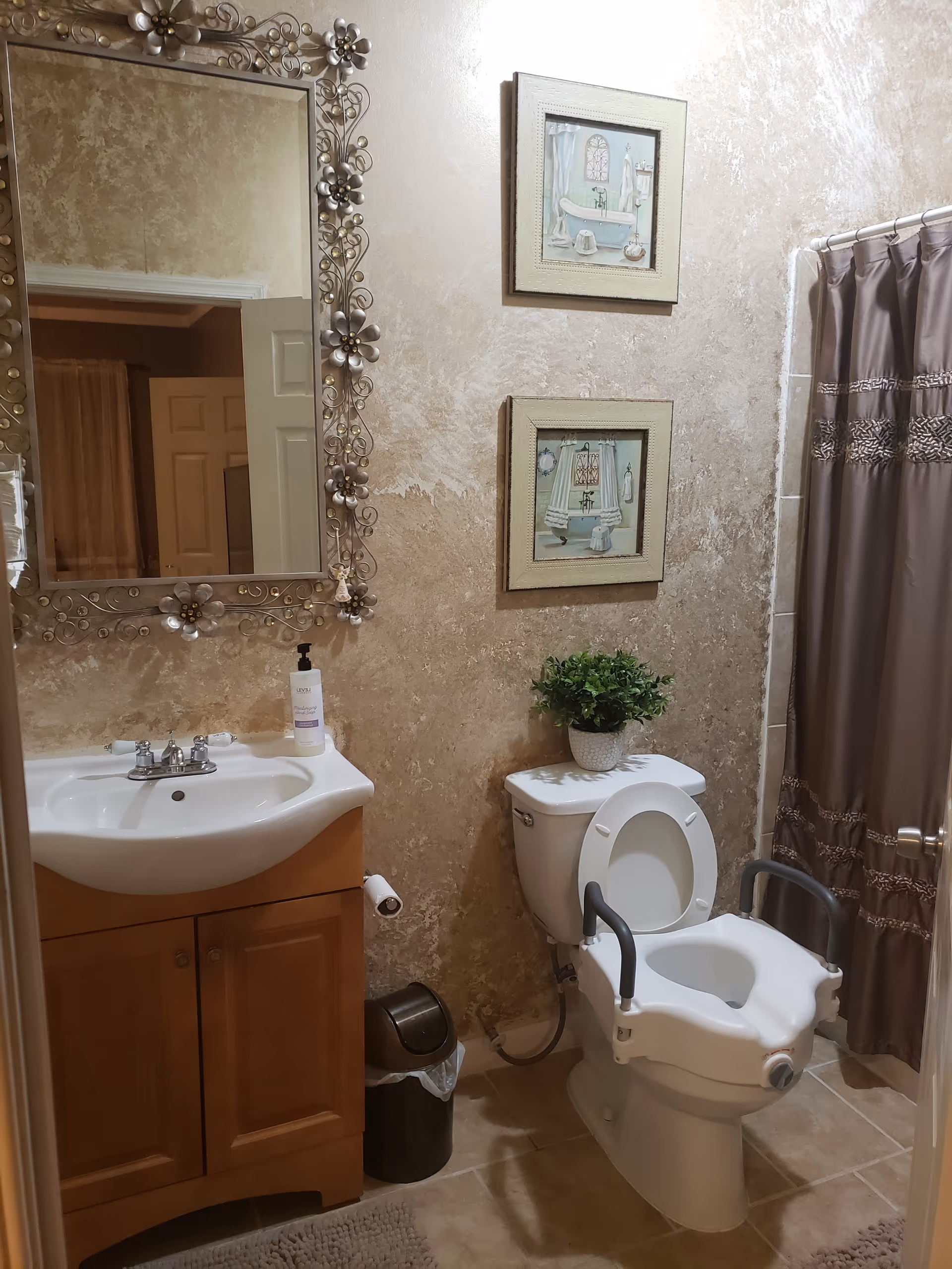 A bathroom with a decorative framed mirror above a white sink with wooden cabinet. There is a bottle of hand soap on the sink. Next to the sink is a toilet with a raised toilet seat and arm supports. A small green plant in a white pot sits on top of the toilet tank. The wall has two framed pictures depicting bathroom scenes. A brown shower curtain is visible on the right side.