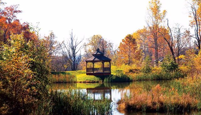 A wooden gazebo sits on a grassy bank by a reflective pond surrounded by autumn trees and reeds.