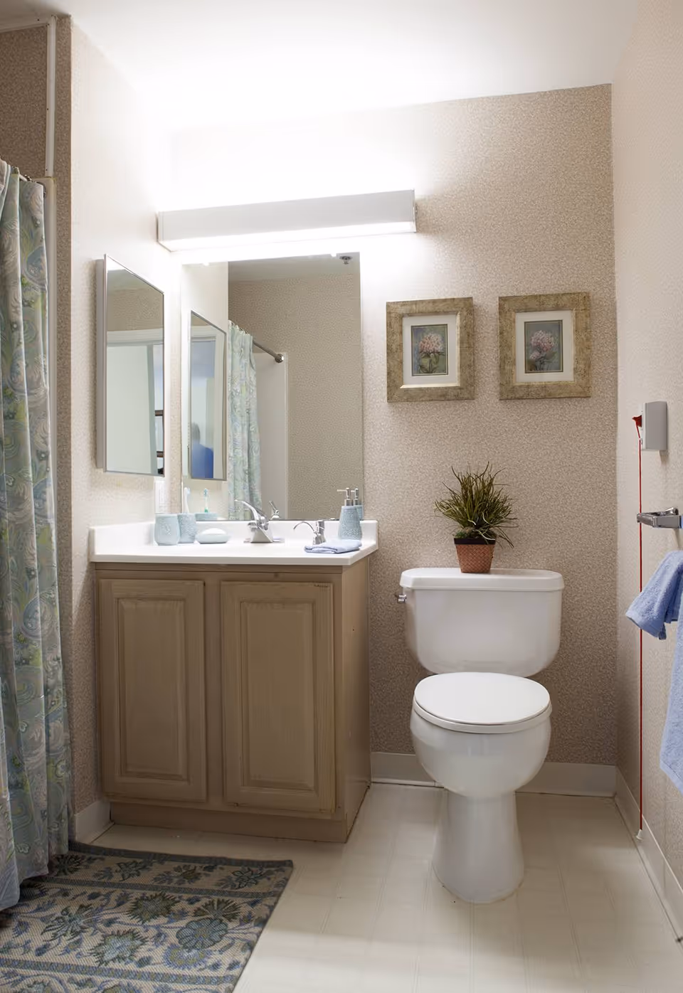 Small bathroom showing a sink vanity with mirror, a toilet topped with a potted plant, and a patterned shower curtain.