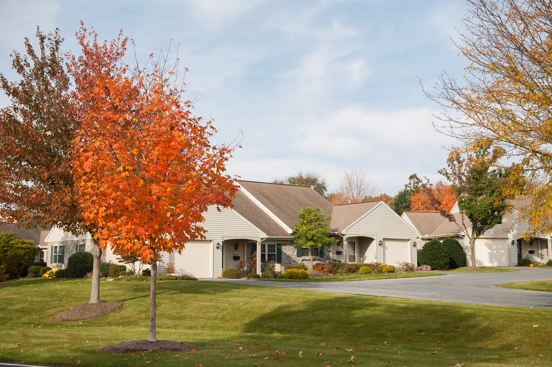 Single-story homes with attached garages in a landscaped neighborhood with autumn-colored trees.