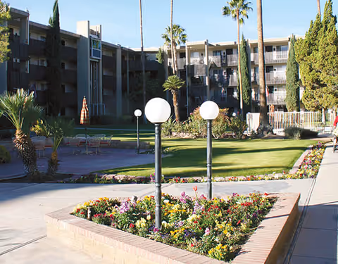 Outdoor courtyard area of a senior living facility with a well-maintained lawn, flower beds, palm trees, and a multi-story building in the background under a clear blue sky.