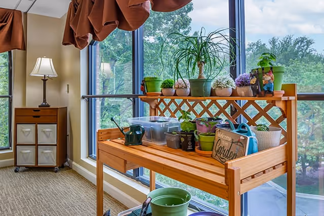 Indoor gardening station with various potted plants and gardening tools on a wooden table next to large windows with a view of trees outside. A lamp on a small cabinet with fabric drawers is visible in the background.