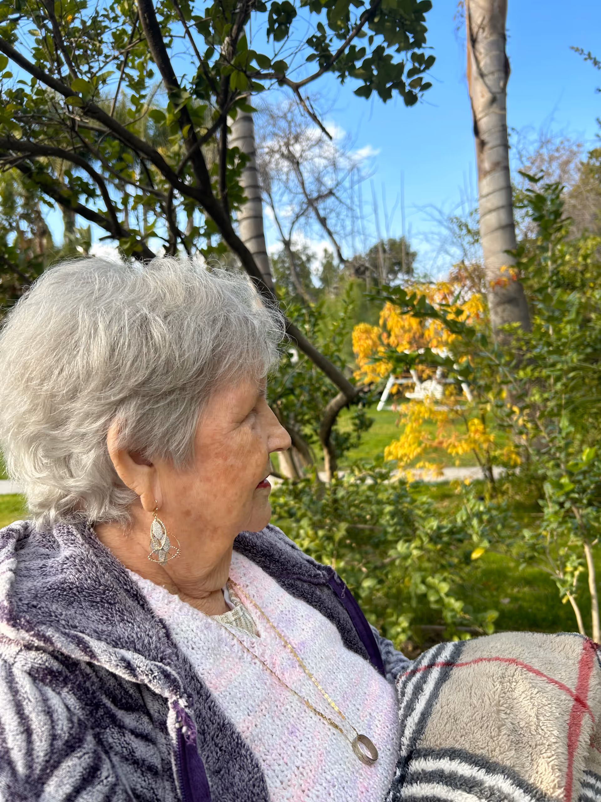An elderly woman with gray hair wearing a purple jacket and white sweater, sitting outdoors surrounded by green trees and plants, holding a plaid blanket on her lap under a clear blue sky.