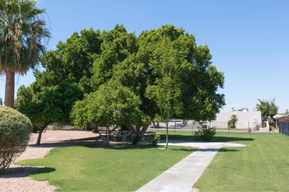 Outdoor area with a concrete walkway leading through a grassy lawn surrounded by various trees and bushes under a clear blue sky.