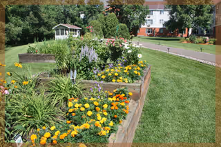 Raised wooden garden beds filled with colorful flowers on a lawn with a gazebo and apartment building in the background.