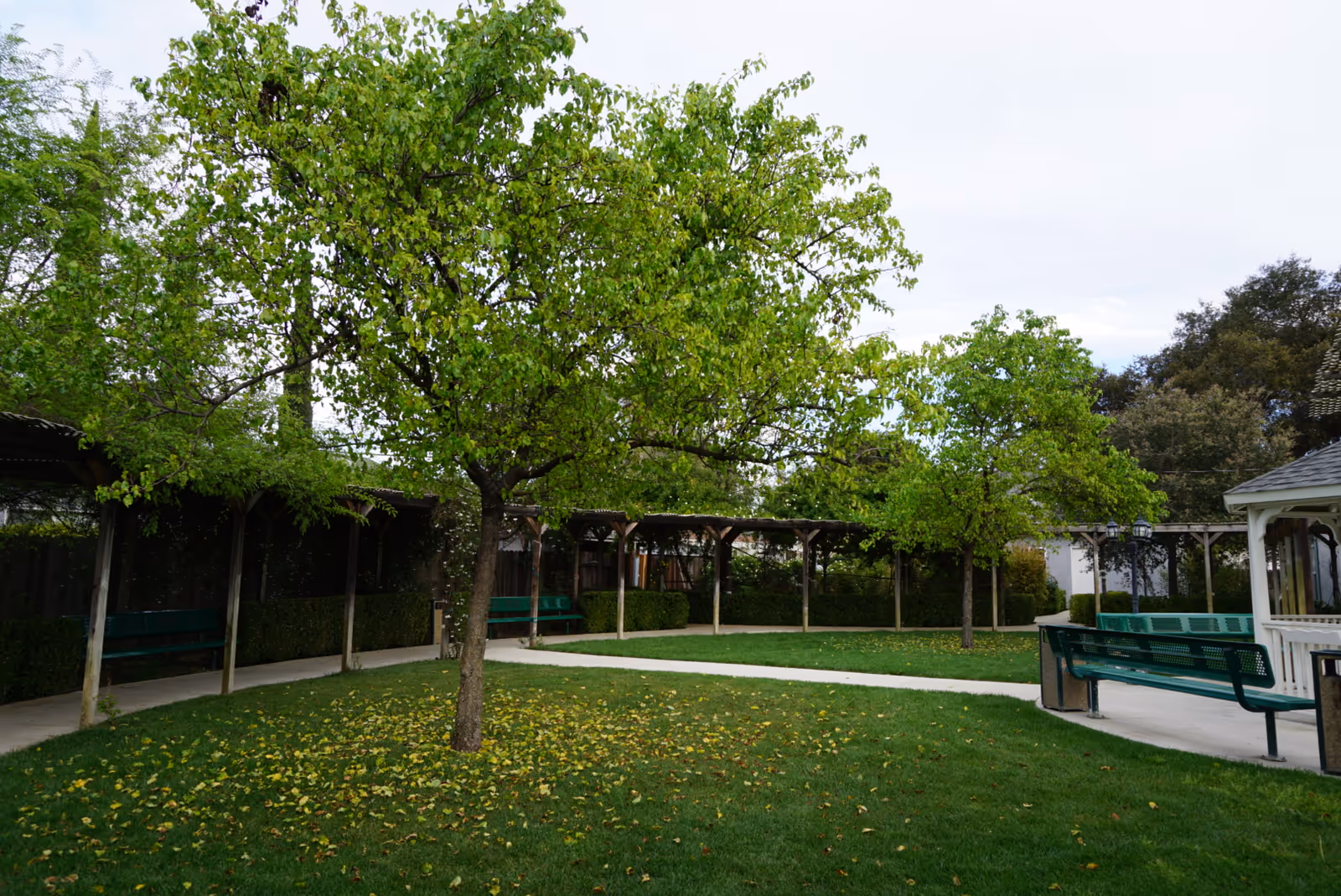 A landscaped outdoor courtyard with green trees, benches, a covered walkway and a small gazebo.