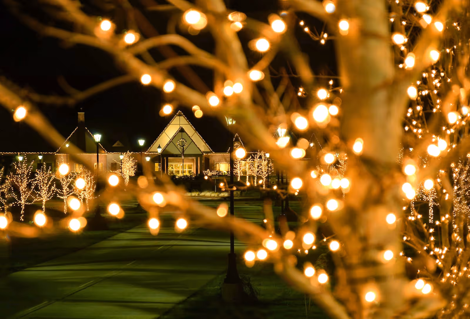 Nighttime view of a pathway leading to a building decorated with festive string lights. Trees along the path are wrapped in glowing lights, creating a warm and inviting atmosphere.