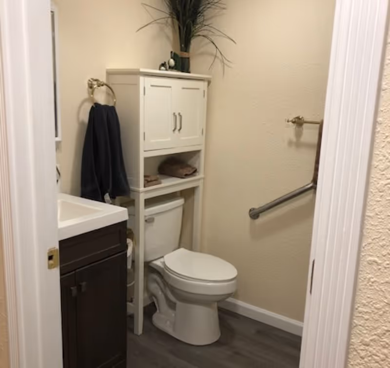 Small bathroom with toilet, sink, storage cabinet, towel rack, and plant.