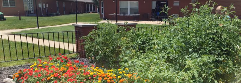 A flowerbed with red and yellow blooms and tall green plants bordered by a railing in front of a brick building and sidewalk.