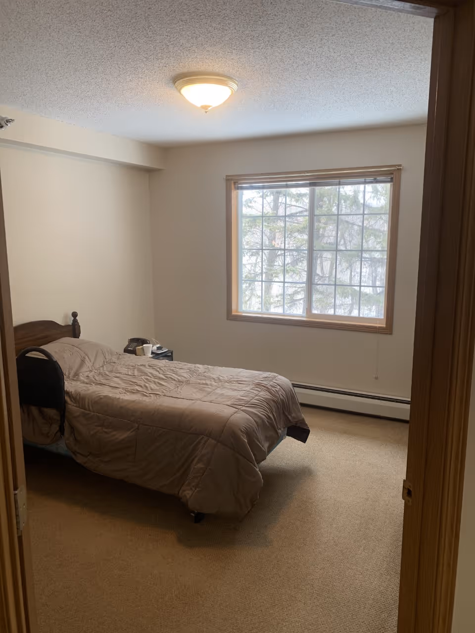 A small bedroom with a single bed covered in a beige comforter. There is a wooden headboard, a nightstand with a telephone and a cup, and a large window with a view of trees outside. The room has beige carpet and light-colored walls with a ceiling light fixture.