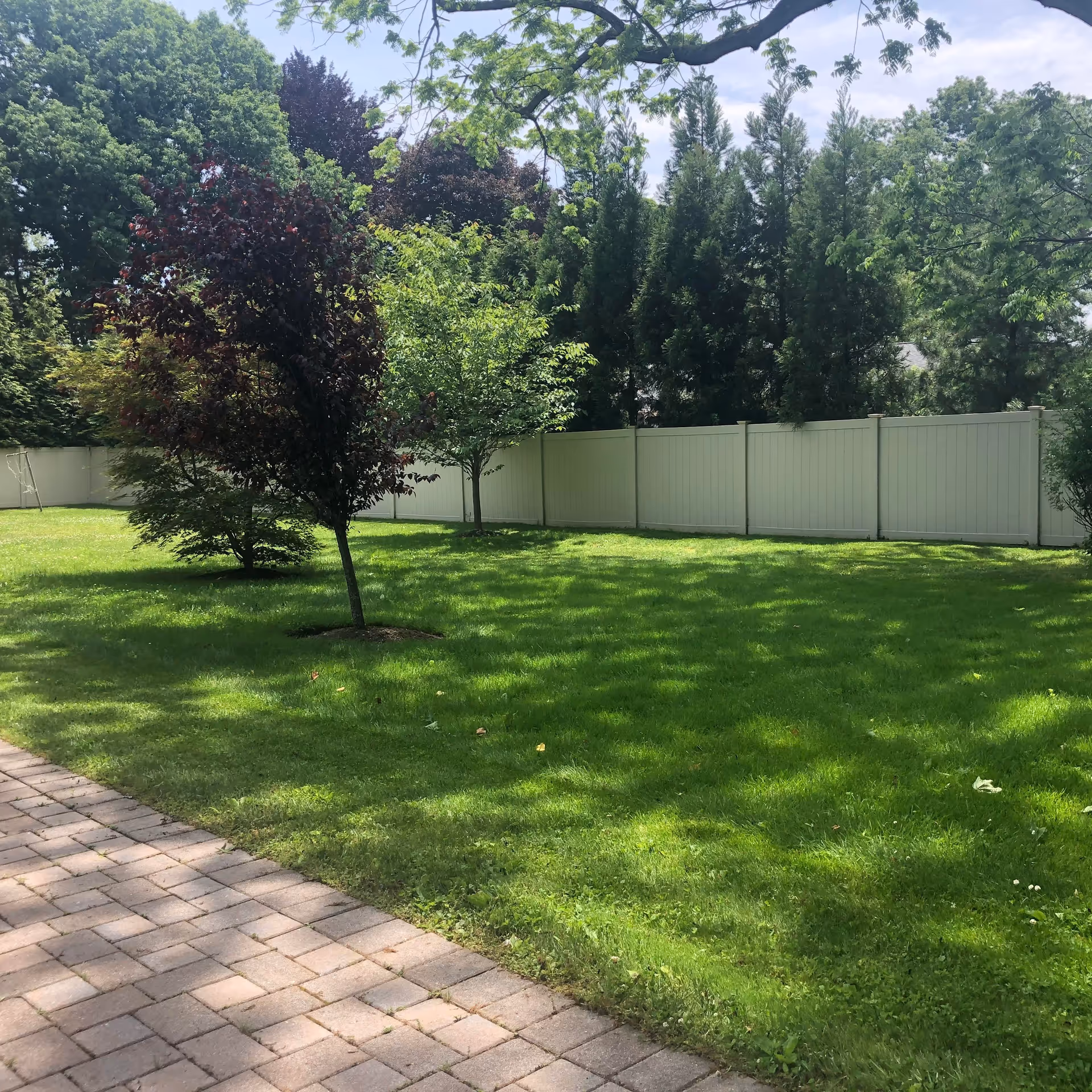 A sunny outdoor garden area with a green lawn, several trees including one with dark red leaves, and a white privacy fence in the background. A paved walkway is visible in the foreground.